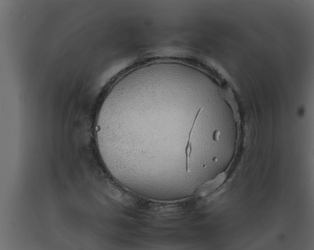 X0000089461213200707061256