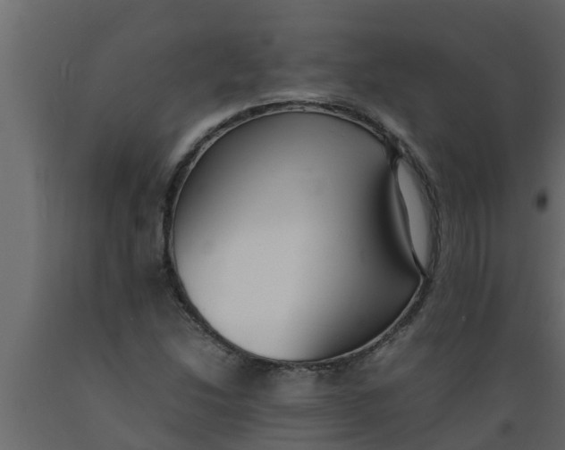 X0000089461214200707061256