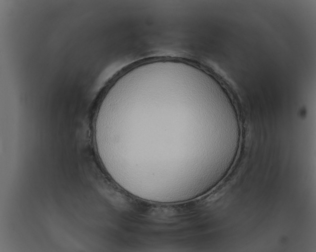 X0000089461215200707061256