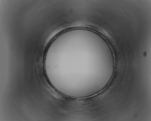 X0000089461216200707061256