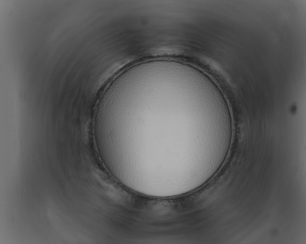 X0000089461217200707061256