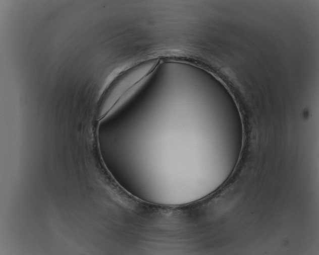 X0000089461218200707061256