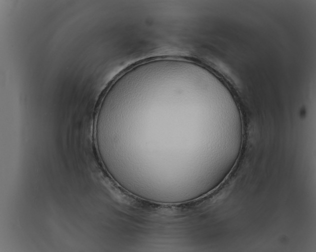 X0000089461220200707061256