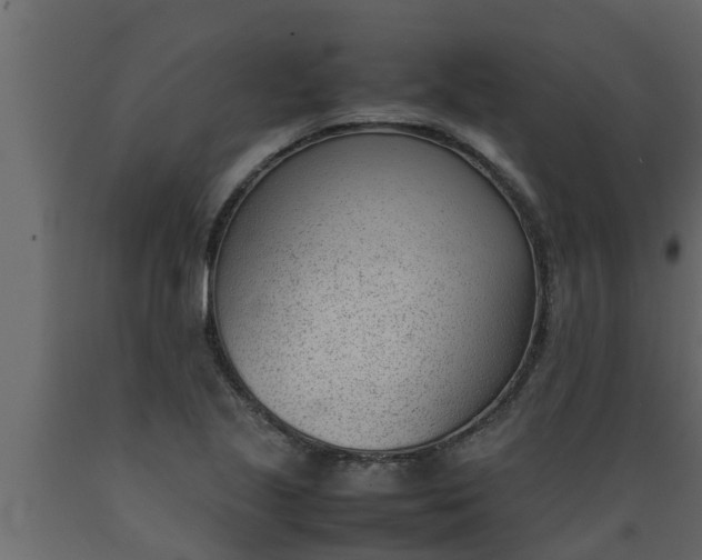 X0000089461221200707061256