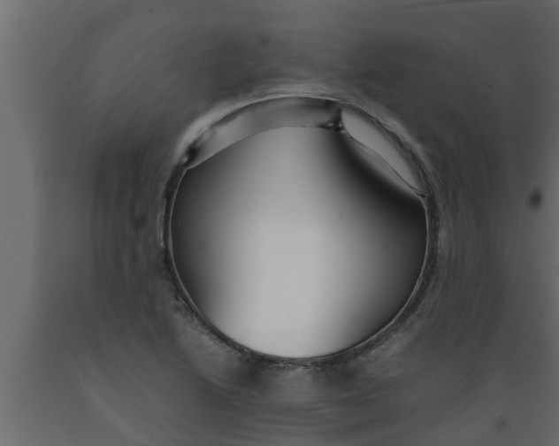 X0000089461222200707061256