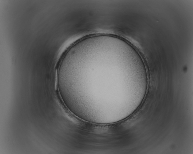 X0000089461223200707061256