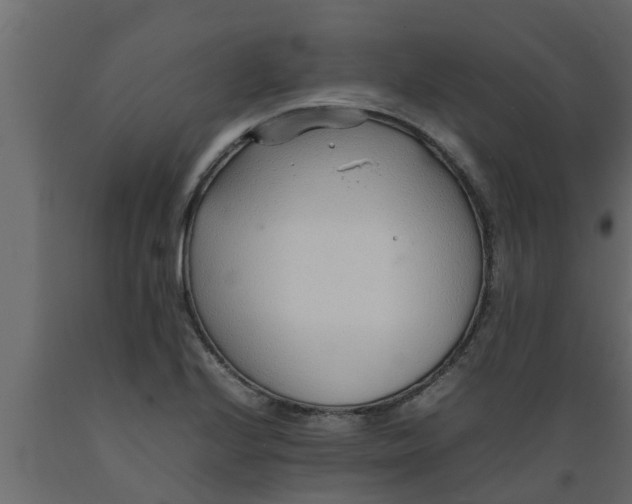 X0000089461224200707061256