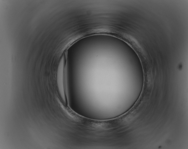 X0000089461225200707061256