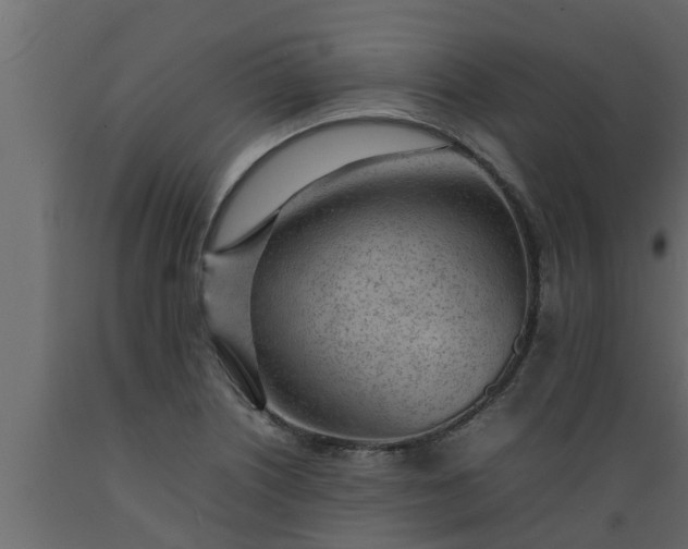 X0000089461226200707061256