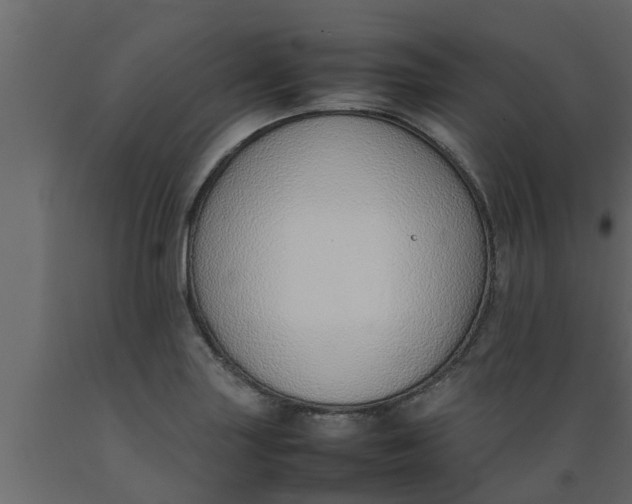 X0000089461227200707061256