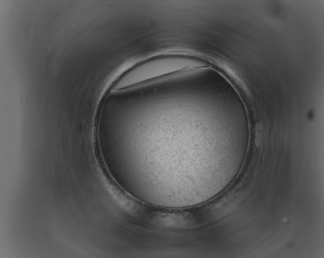 X0000089461229200707061256