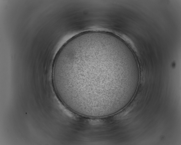 X0000089461231200707061256