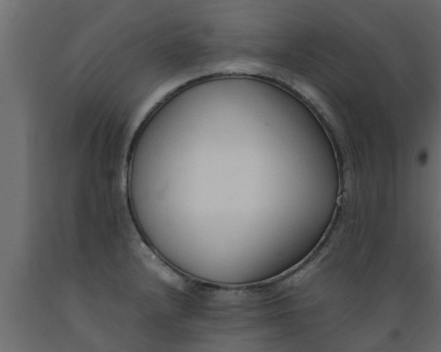 X0000089461232200707061256