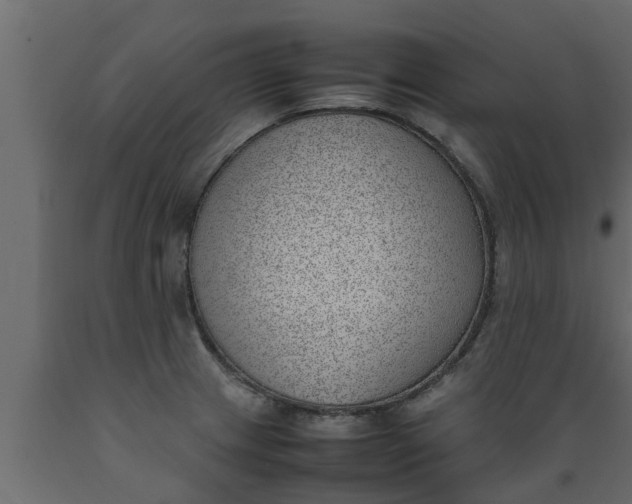 X0000089461233200707061256