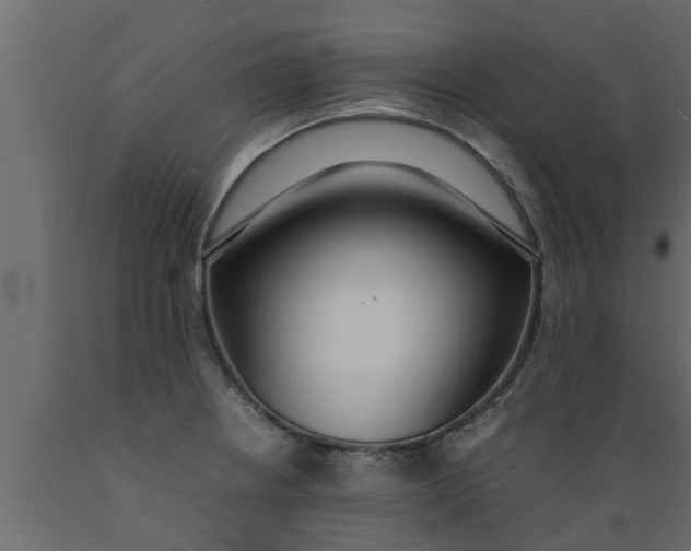 X0000089461234200707061256