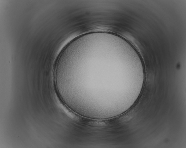 X0000089461235200707061256