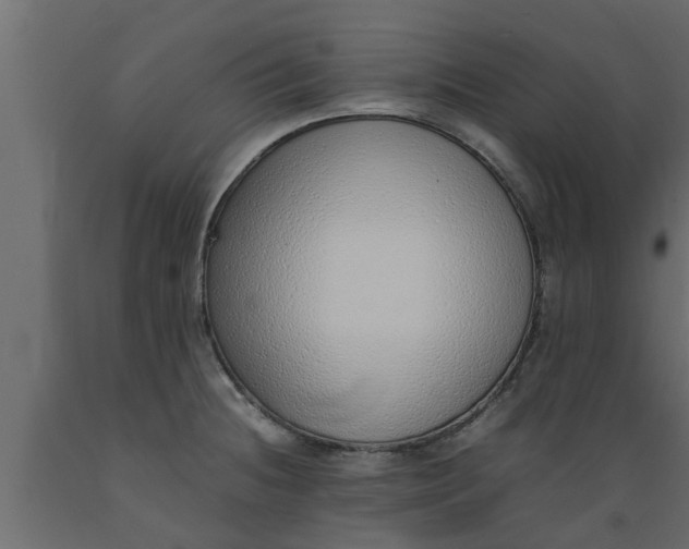 X0000089461236200707061256