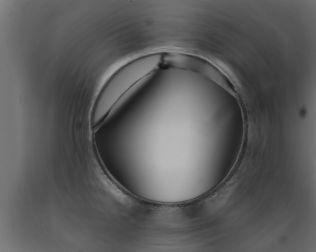 X0000089461238200707061256