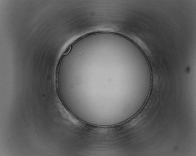 X0000089461240200707061256