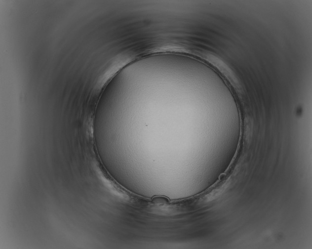 X0000089461241200707061256