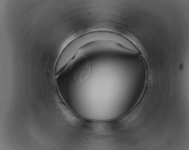 X0000089461242200707061256