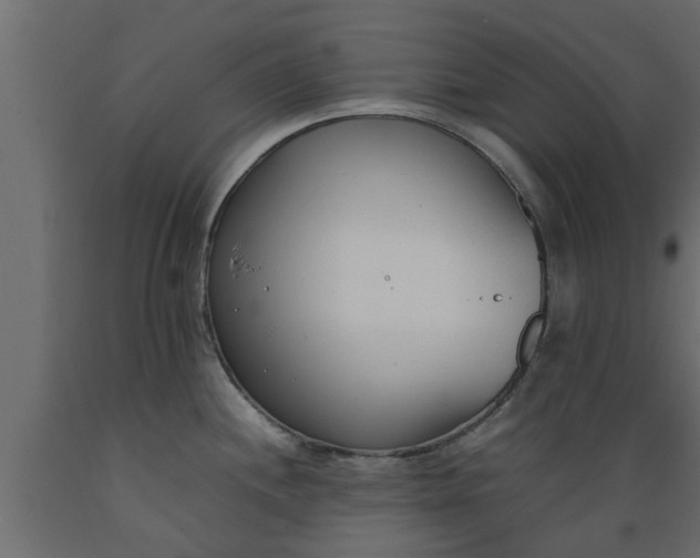 X0000089461244200707061256