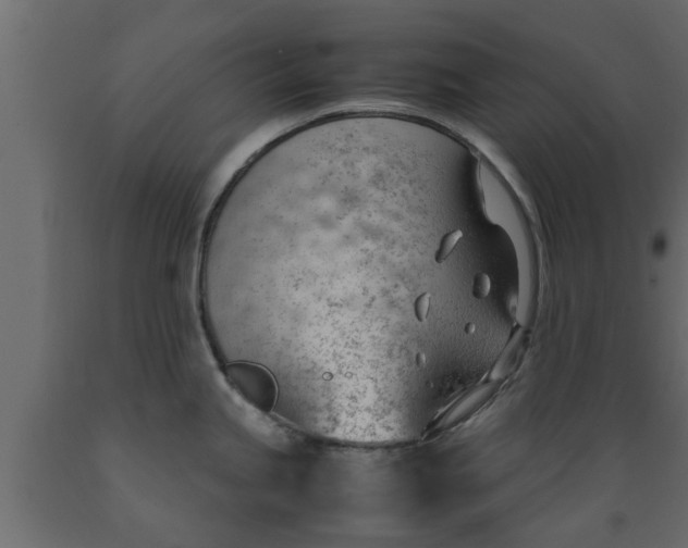 X0000089461245200707061256