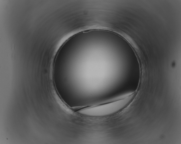 X0000089461246200707061256