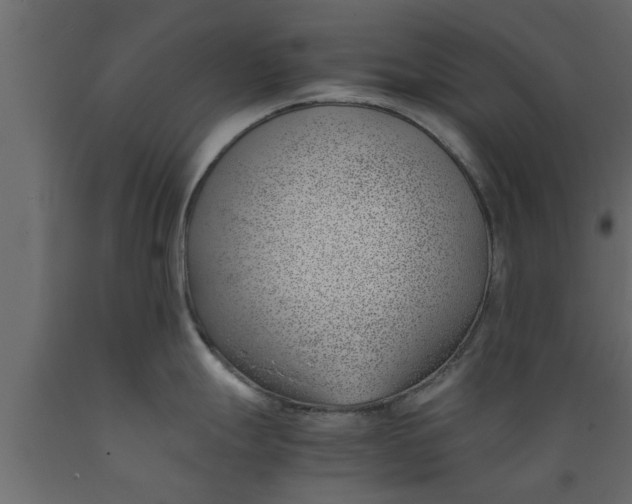 X0000089461247200707061256