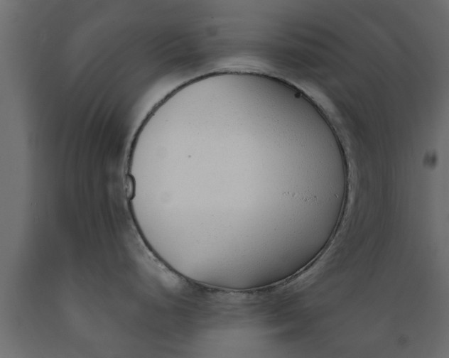 X0000089461248200707061256