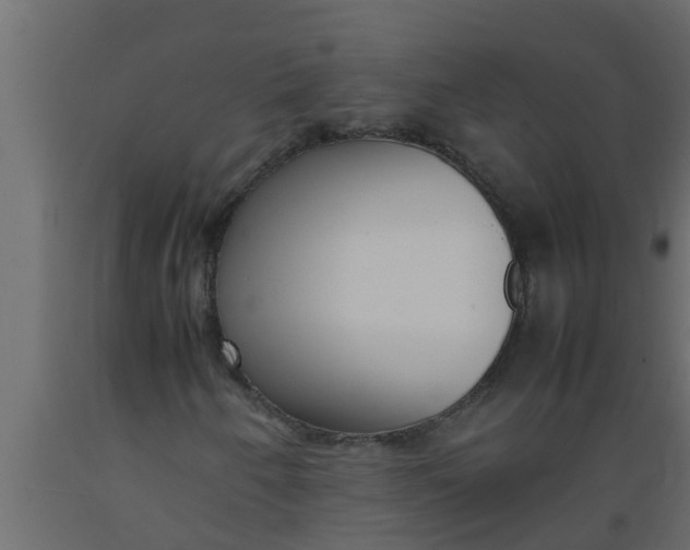 X0000089461250200707061256