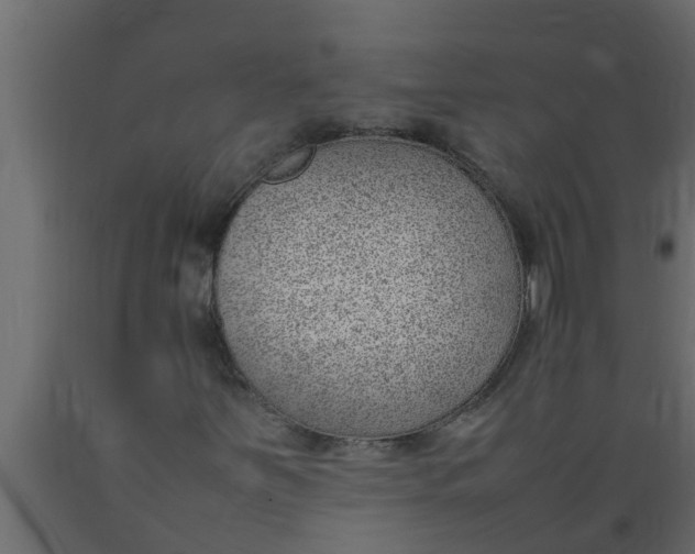 X0000089461251200707061256