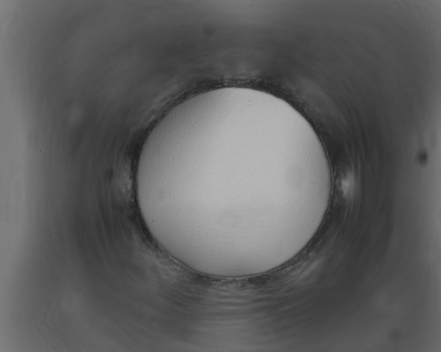 X0000089461252200707061256