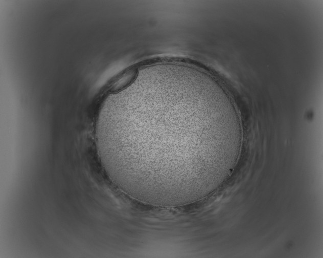X0000089461255200707061256