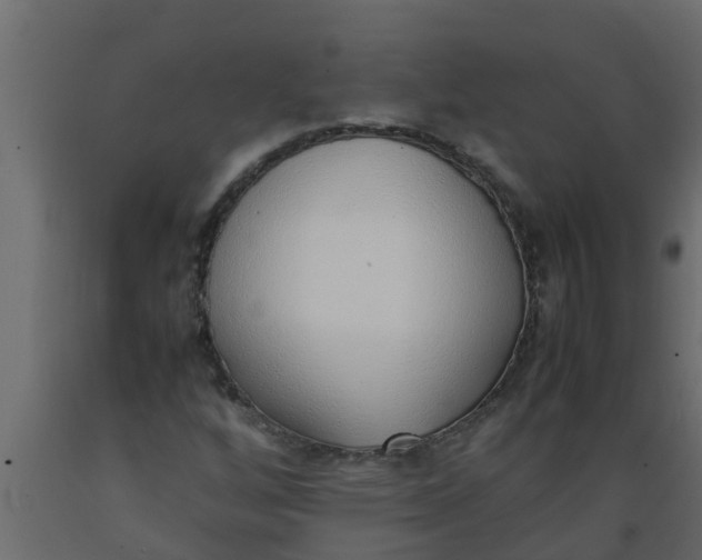X0000089461256200707061256