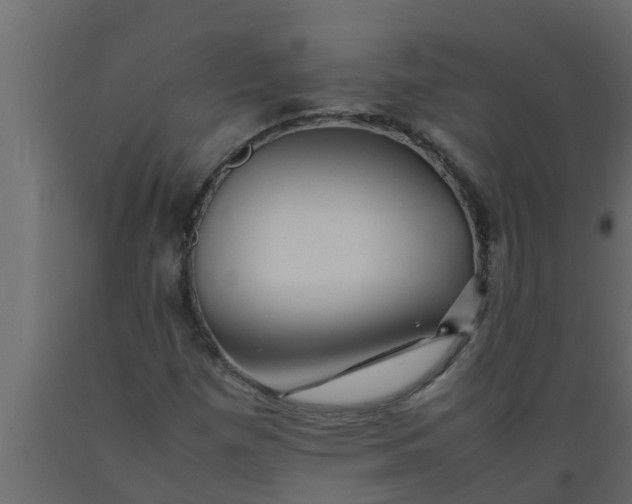 X0000089461257200707061255