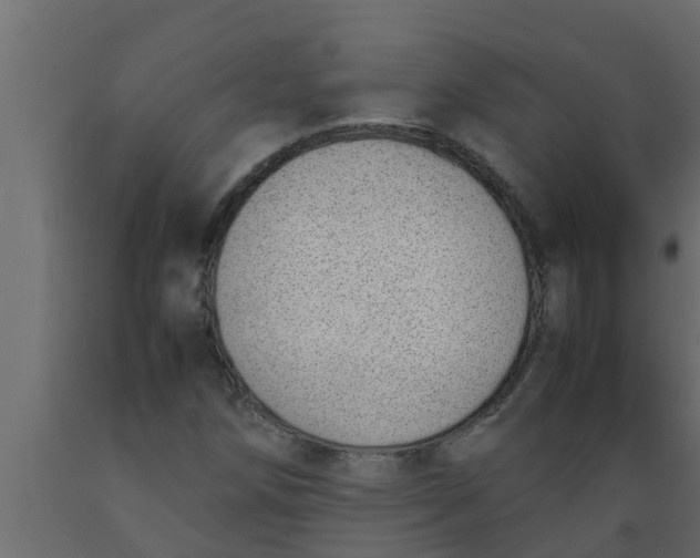 X0000089461258200707061255
