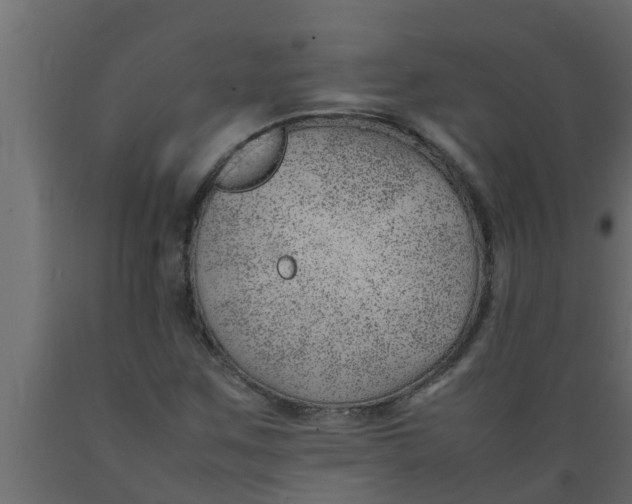 X0000089461259200707061255