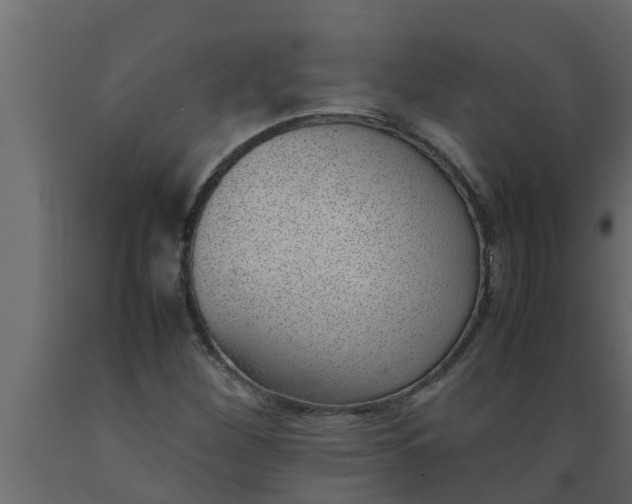 X0000089461260200707061255
