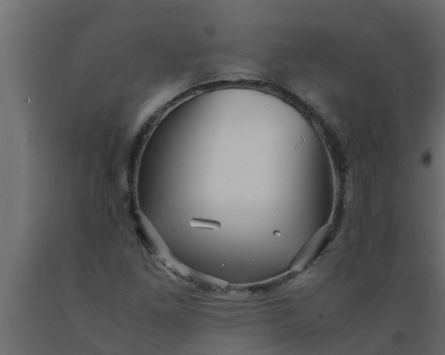 X0000089461261200707061255