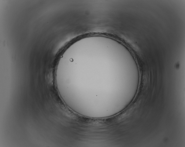X0000089461262200707061255