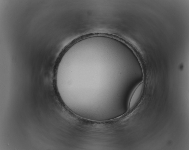 X0000089461264200707061255