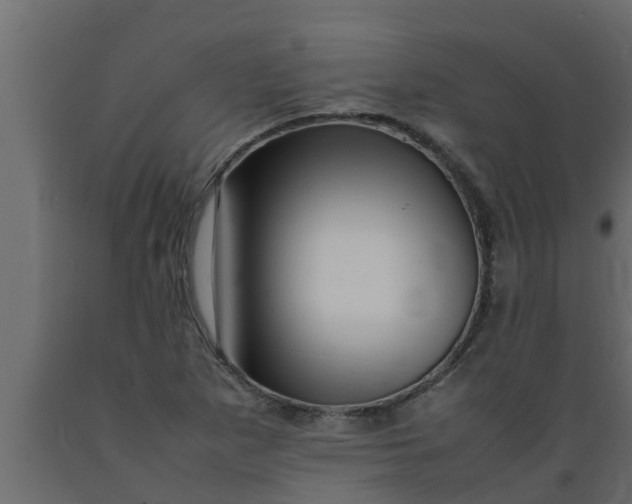 X0000089461265200707061255