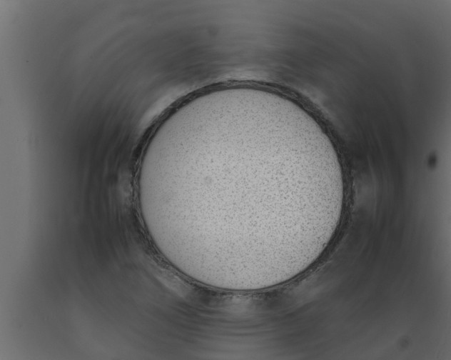 X0000089461266200707061255