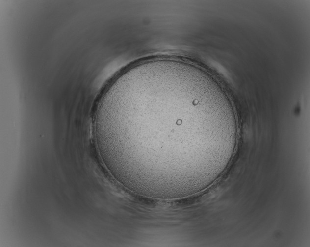 X0000089461267200707061255