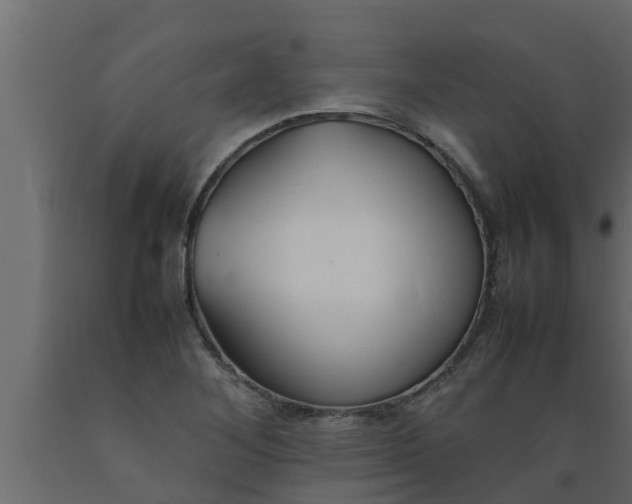 X0000089461268200707061255