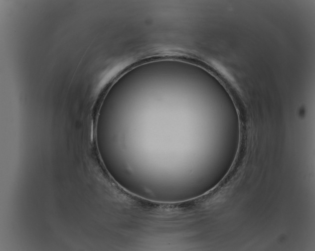 X0000089461269200707061255