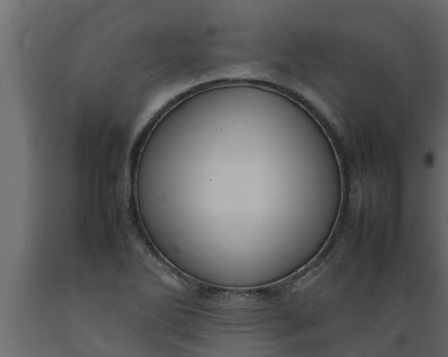 X0000089461270200707061255