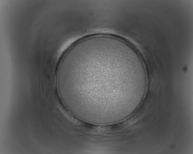 X0000089461271200707061255
