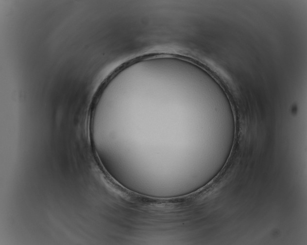 X0000089461272200707061255